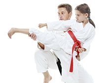 Flowery Branch Martial Arts Gallery